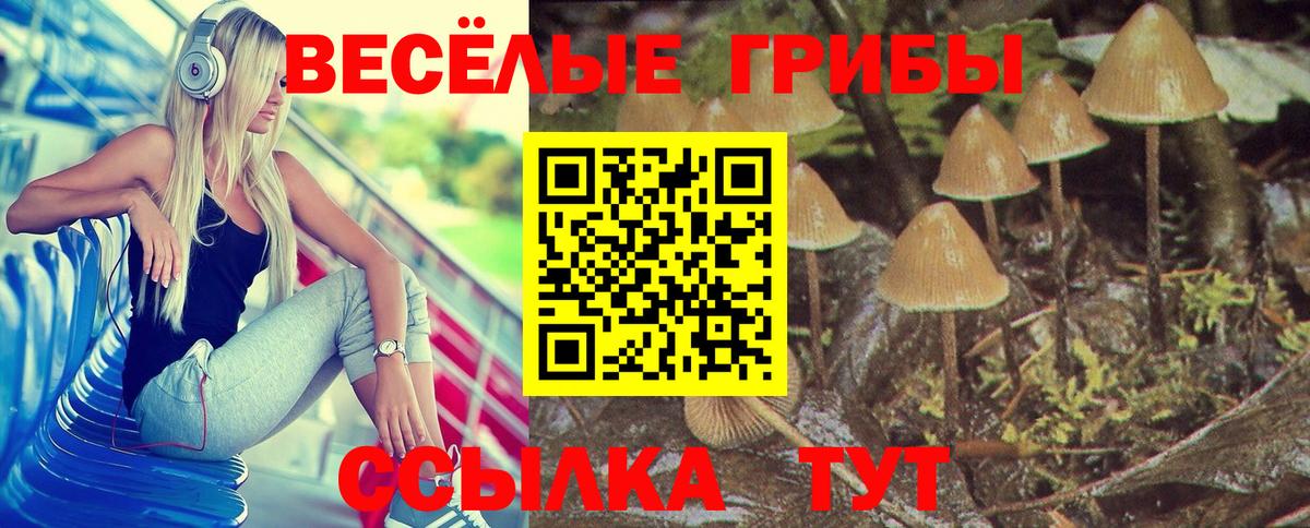 Еманжелинск  Псилоцибиновые грибы мухоморы  Вход с VPN 