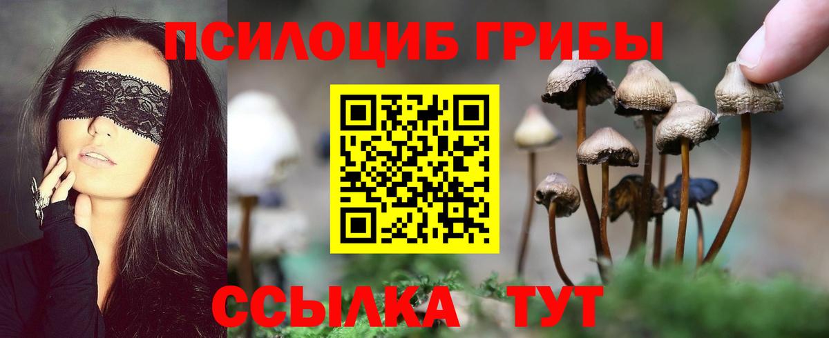 Псилоцибиновые грибы мухоморы Еманжелинск
